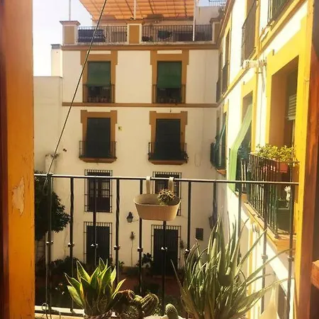 Plaza Cristo De Burgos Sevilla