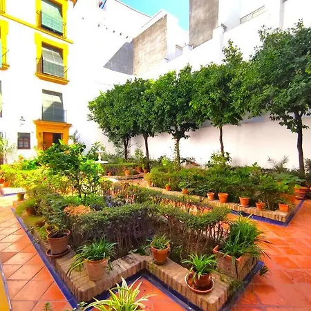 Plaza Cristo De Burgos Apartment